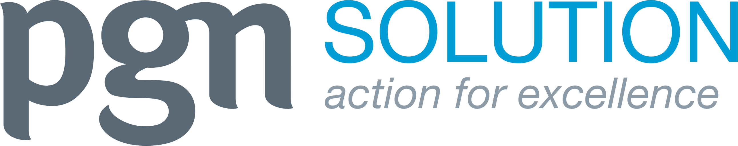 PGN Solution Logo